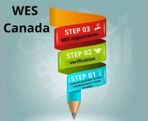 Information about Transcripts Backdated Degree Genuine Documents degree backdated degree certificates genuine degree certificates Original degree Fast track